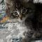 Guinevere