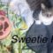 Sweetie Pie