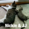 Smokey, JJ, And Nickie