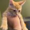 Mr. Pudders