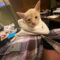 Mr. Pudders