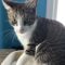 Calvin