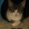 Mary