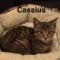 Cassius