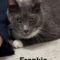 Frankie