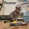Pewter