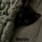Martin