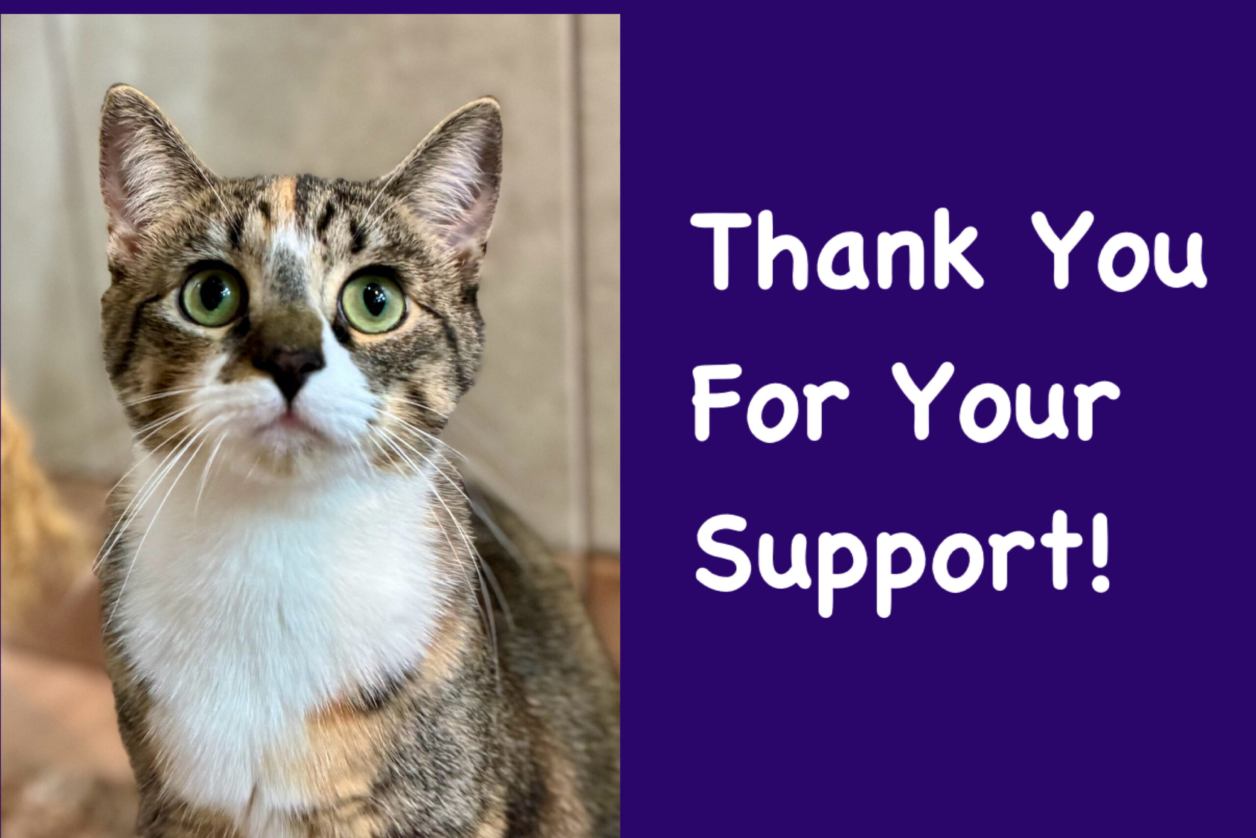 created by photogrid