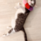 Mittens