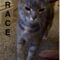 Grace