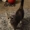 Grace