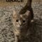 Grace