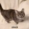 Grace