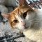Jethro