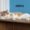 Jethro