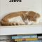 Jethro