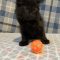 Binx